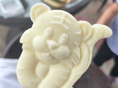 -沈阳森林动物园
