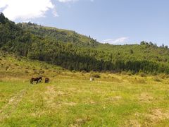 -硗碛藏寨·神木垒景区