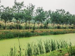 -东郊湿地公园