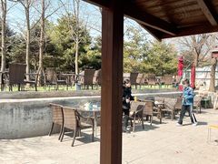 -尚庄度假村·庭台树下·户外烧烤·团建CS·轰趴营地(上庄水库店)