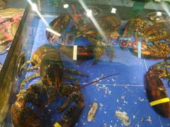 -山东八大碗山东老字号