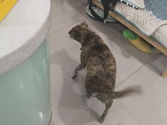 -佳雯宠物医院·皮肤科·内外科(春晓路分院)