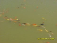 -鄂尔多斯野生动物园