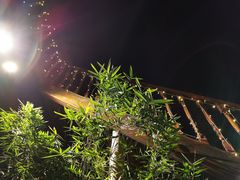 -红尘再(安昌古镇店)
