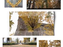 -百林公园-两江幸福广场
