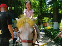 -荆州中山公园动物园