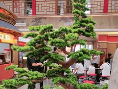 -老山东·山东菜(鲁菜名店)