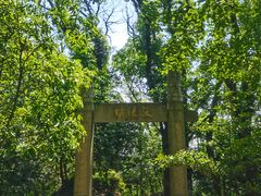 -上海佘山国家森林公园天马山园