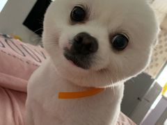 -暖阳宠物医院·犬猫康复中心·骨科