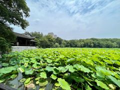 -高子水居