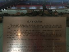 -诸城市恐龙博物馆