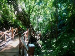 -大岭沟猕猴桃谷风景区