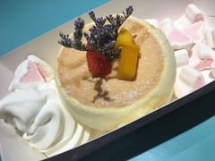-狐狸和向日葵(北京路店)