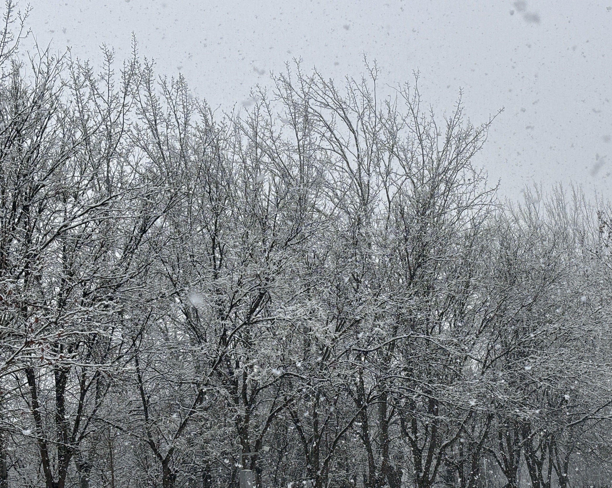 看,雪花飘落的足迹