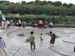 -季高兔窝窝亲子园(上海薰衣草公园店)