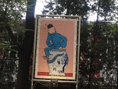 -三里屯东五街银杏大道