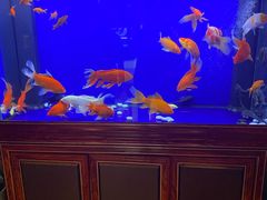 -知足堂养生会所(碑亭巷店)
