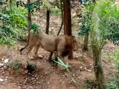 -泉州海丝野生动物世界