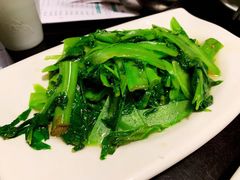 清炒凤尾-陈麻婆豆腐总店