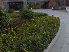 -华东政法大学(松江校区)