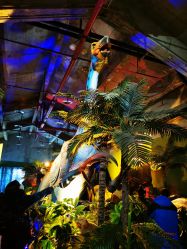 -恐龙探索乐园(磁器口店)