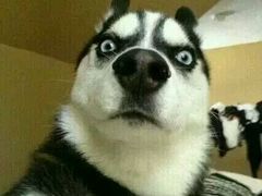 -比亚森自助烤肉料理(裕华店)