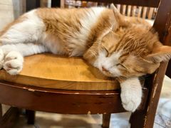 -周家大连水饺(美专校街店)