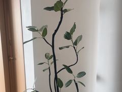 -泉·颂钵冥想·减压·疗愈SPA(前海店)