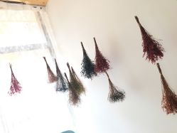 -星宝贝儿童摄影