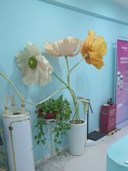 -斐尔国际皮肤管理中心