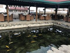 -京北渔家傲