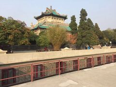-武汉大学-樱园