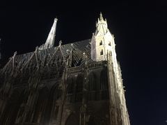-斯蒂芬主教座堂(Stephansdom)