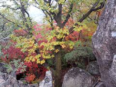 -三块石国家森林公园