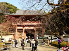 -醍醐寺