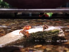 -上海怡沁园度假酒店