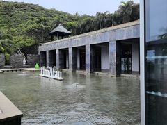 -日落吧·海景咖啡厅·餐酒吧·鸡尾酒·下午茶·乐队表演·浪漫夕阳·三亚文华东方酒店