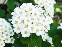 -北京张裕爱斐堡酒庄