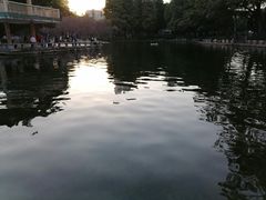 -晓港公园