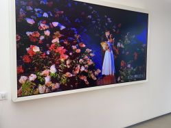 -北遇映画PHOTO GRAPHY STUDIO