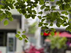 -兴福老面馆(寺路街店)