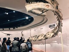 -自贡恐龙博物馆