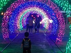 -如皋市龙游湖欢乐世界