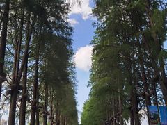 -武汉长江大桥