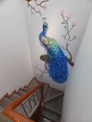 -德绣·机器野生眉发际线·美瞳线半永久