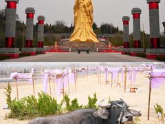 -函谷关历史文化旅游区