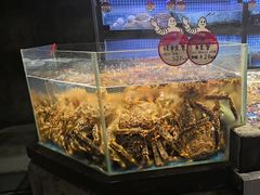 -徐记海鲜(大明宫|北二环店)