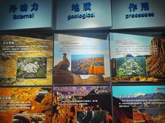 -甘肃地质博物馆