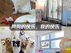 -汪说·狗咖·拼豆·宠物周边DIY(旺城大厦店)