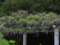 -苏州上方山国家森林公园